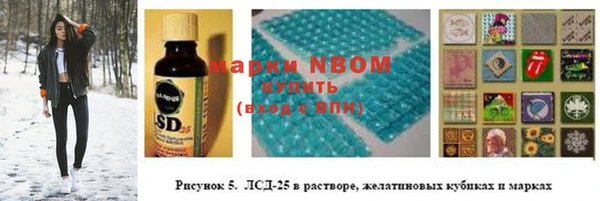 сатива Зерноград