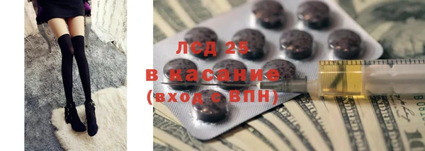 сатива Зерноград