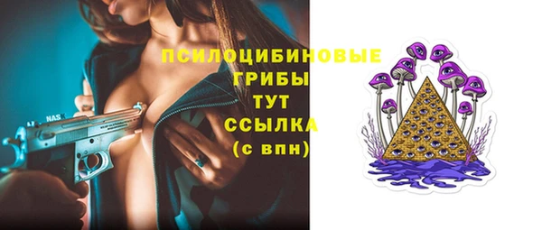 спиды Зеленокумск