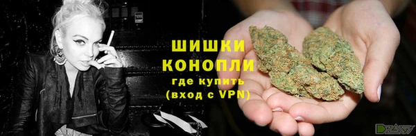 спиды Зеленокумск