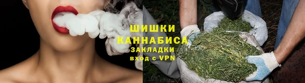 сатива Зерноград