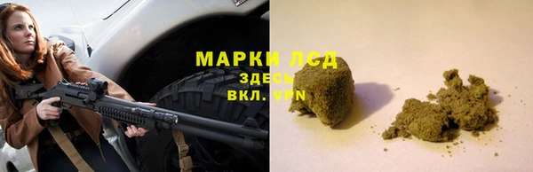 сатива Зерноград