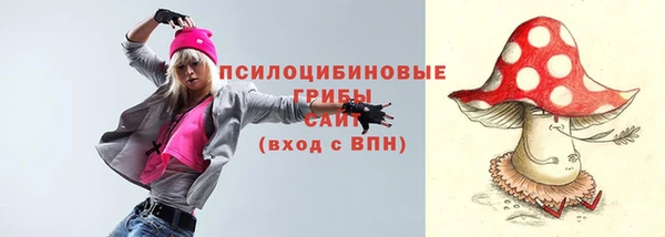 сатива Зерноград