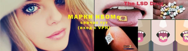 сатива Зерноград