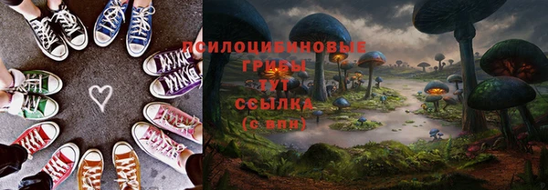 спиды Зеленокумск