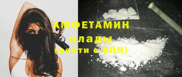 сатива Зерноград
