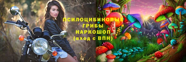 спиды Зеленокумск