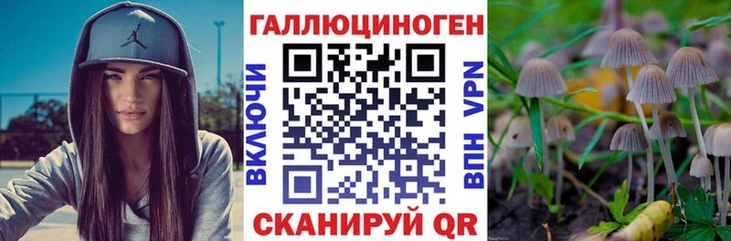 Псилоцибиновые грибы прущие грибы Купить Бикин